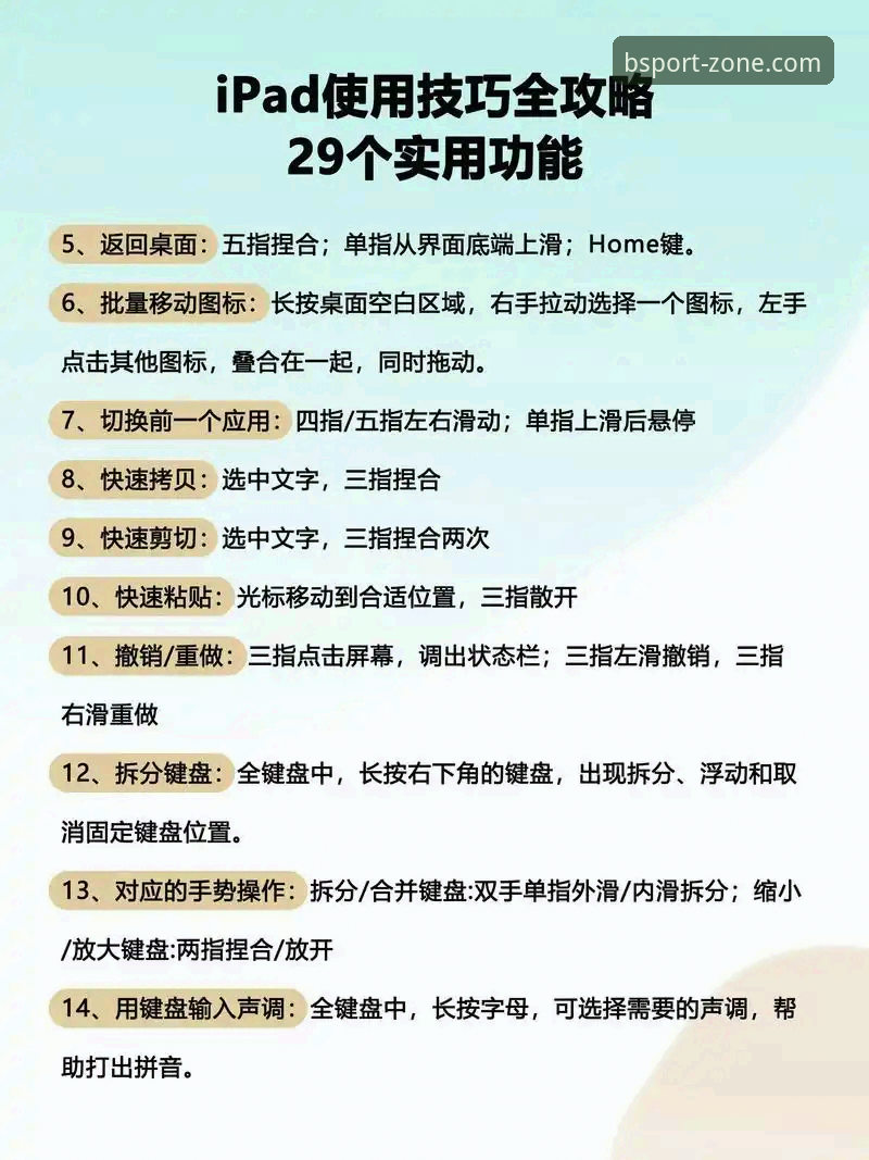 BSPORT官网使用指南：从下载到畅享体育直播的完整教程