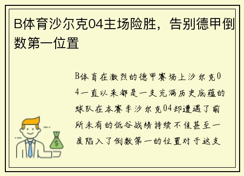 B体育沙尔克04主场险胜，告别德甲倒数第一位置